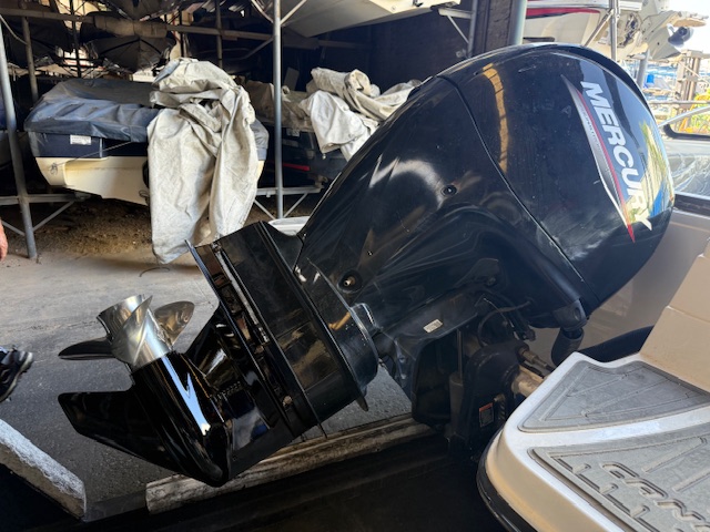 Canestrari 208 open 2021 Mercury 150 hp 4 t 